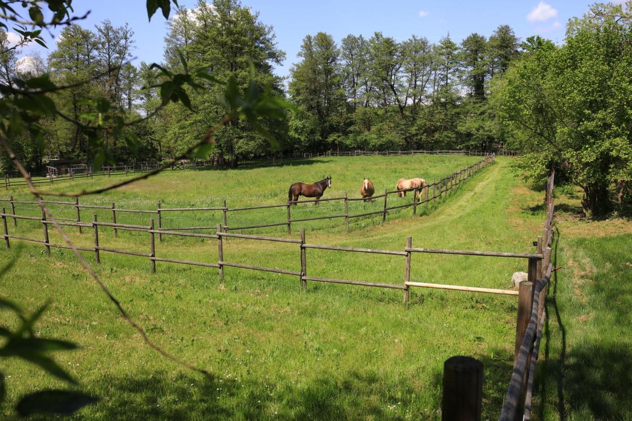 Amigosranch Villa Kruševac Buitenkant foto