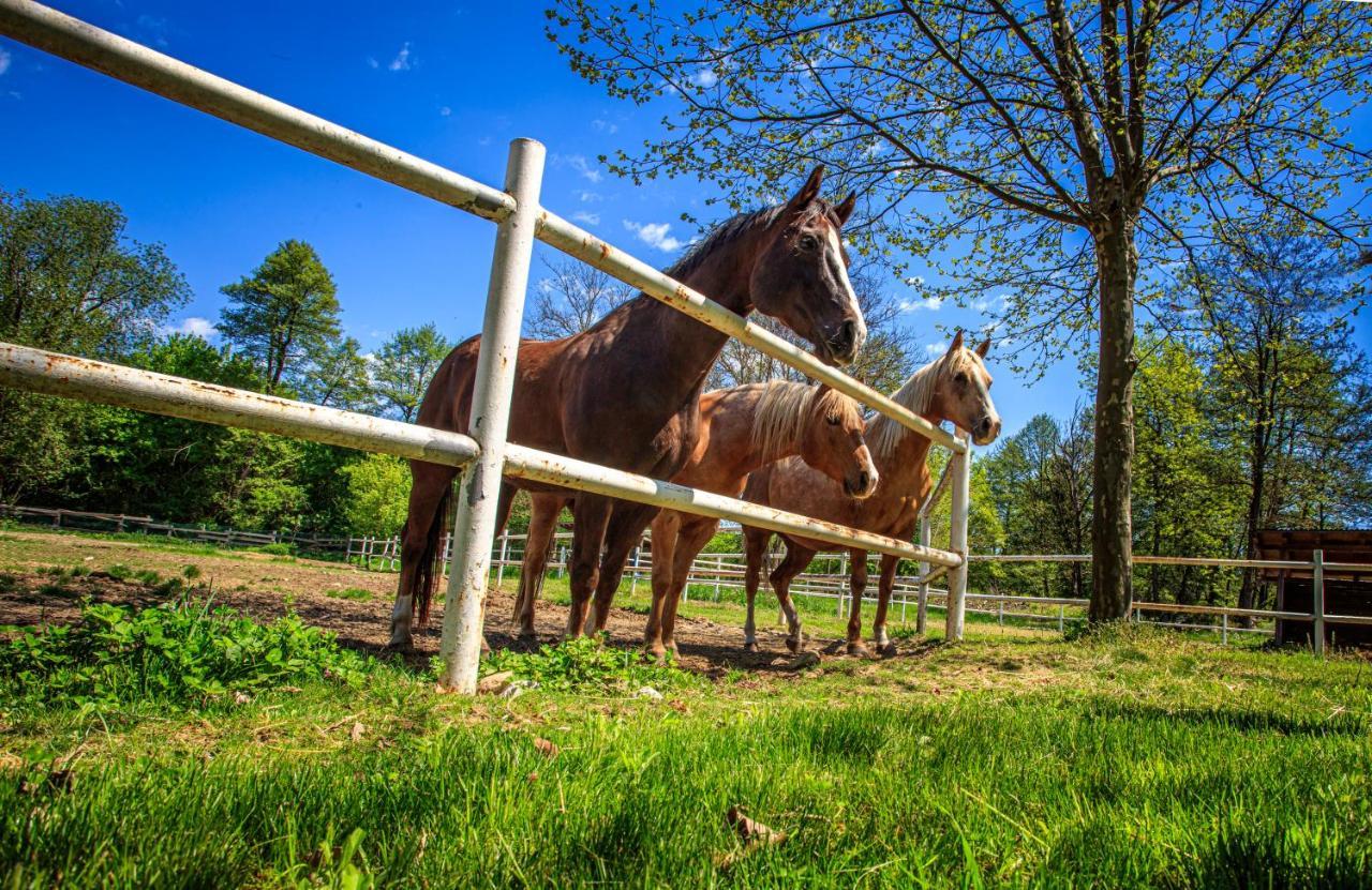 Amigosranch Villa Kruševac Buitenkant foto