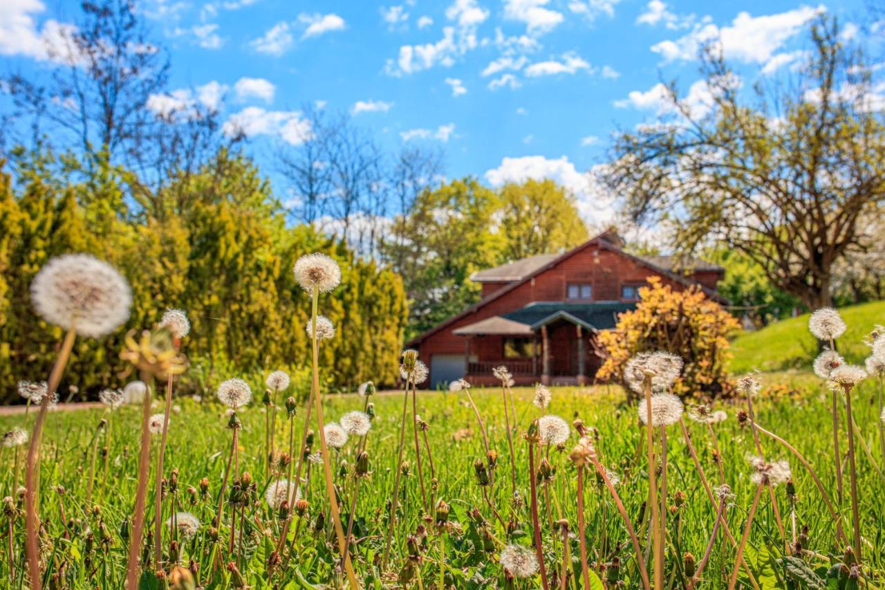 Amigosranch Villa Kruševac Buitenkant foto