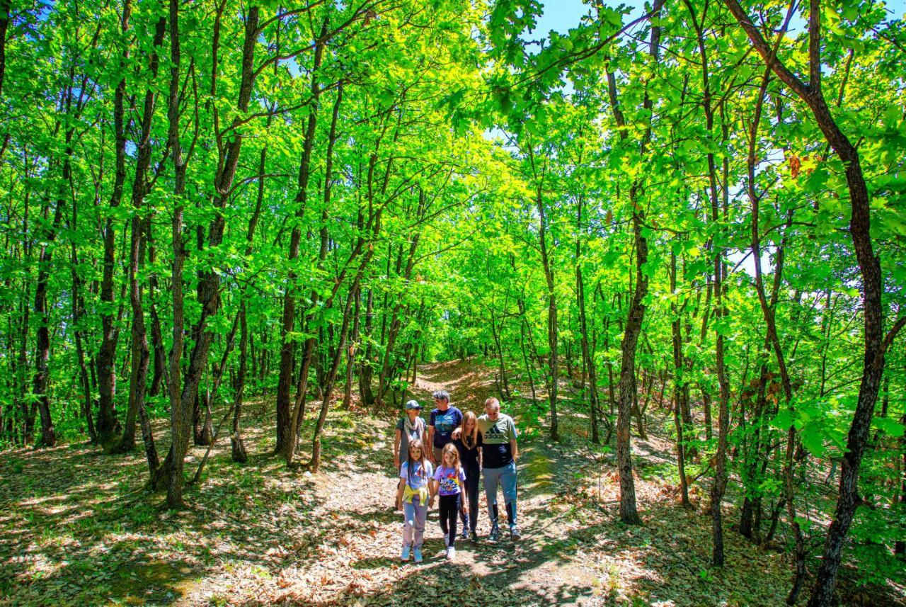 Amigosranch Villa Kruševac Buitenkant foto
