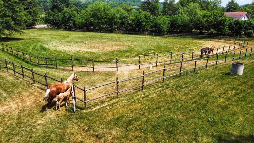 Amigosranch Villa Kruševac Buitenkant foto