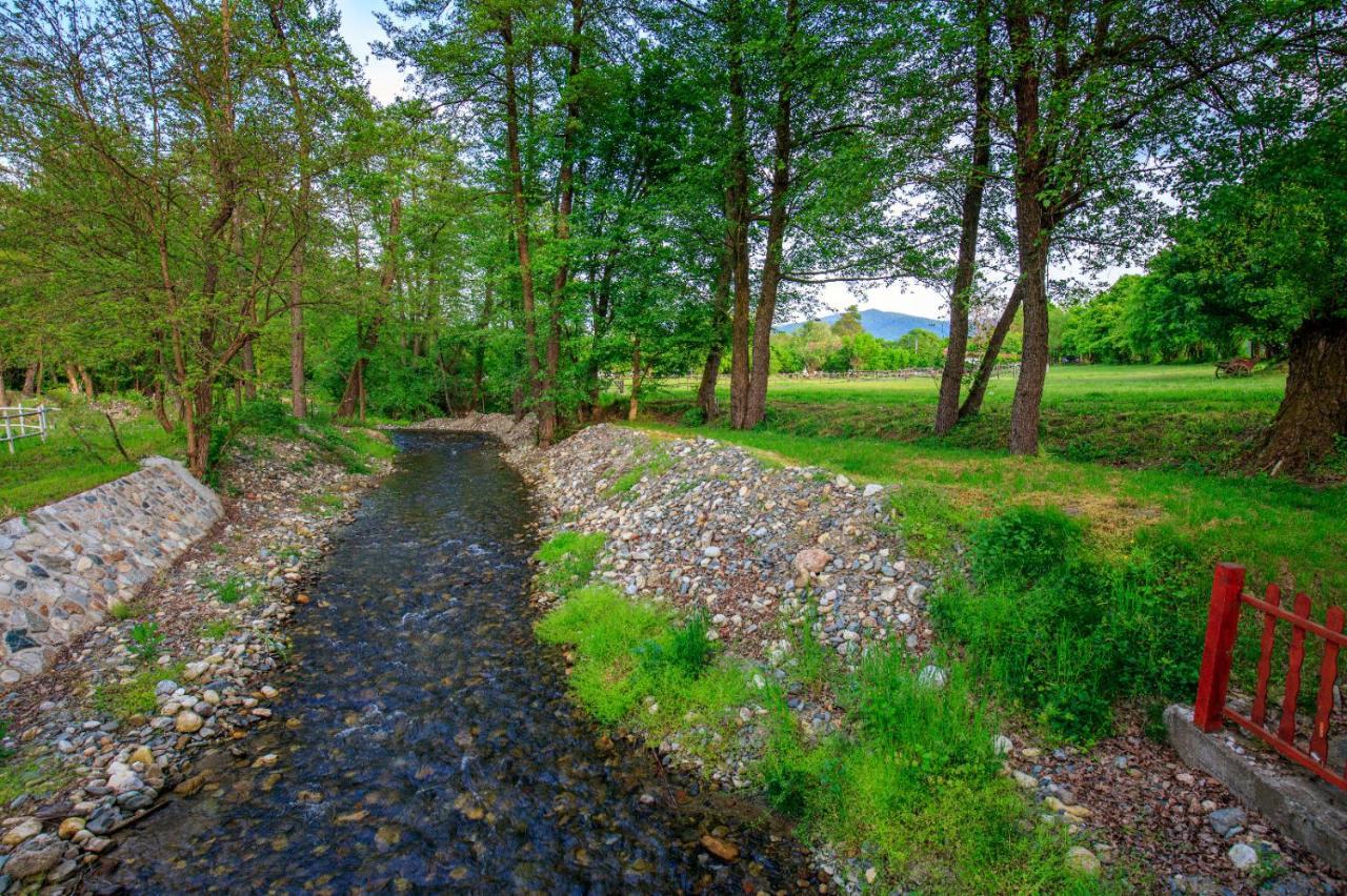 Amigosranch Villa Kruševac Buitenkant foto