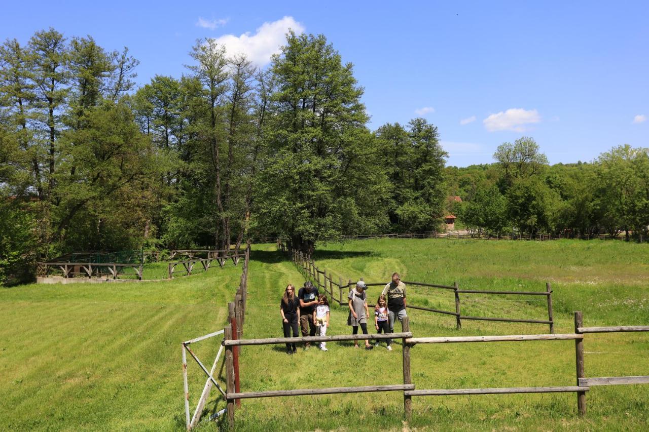 Amigosranch Villa Kruševac Buitenkant foto