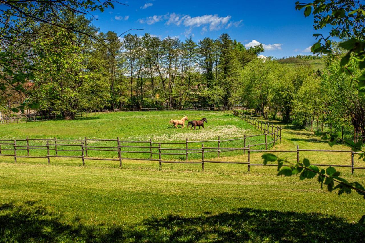 Amigosranch Villa Kruševac Buitenkant foto